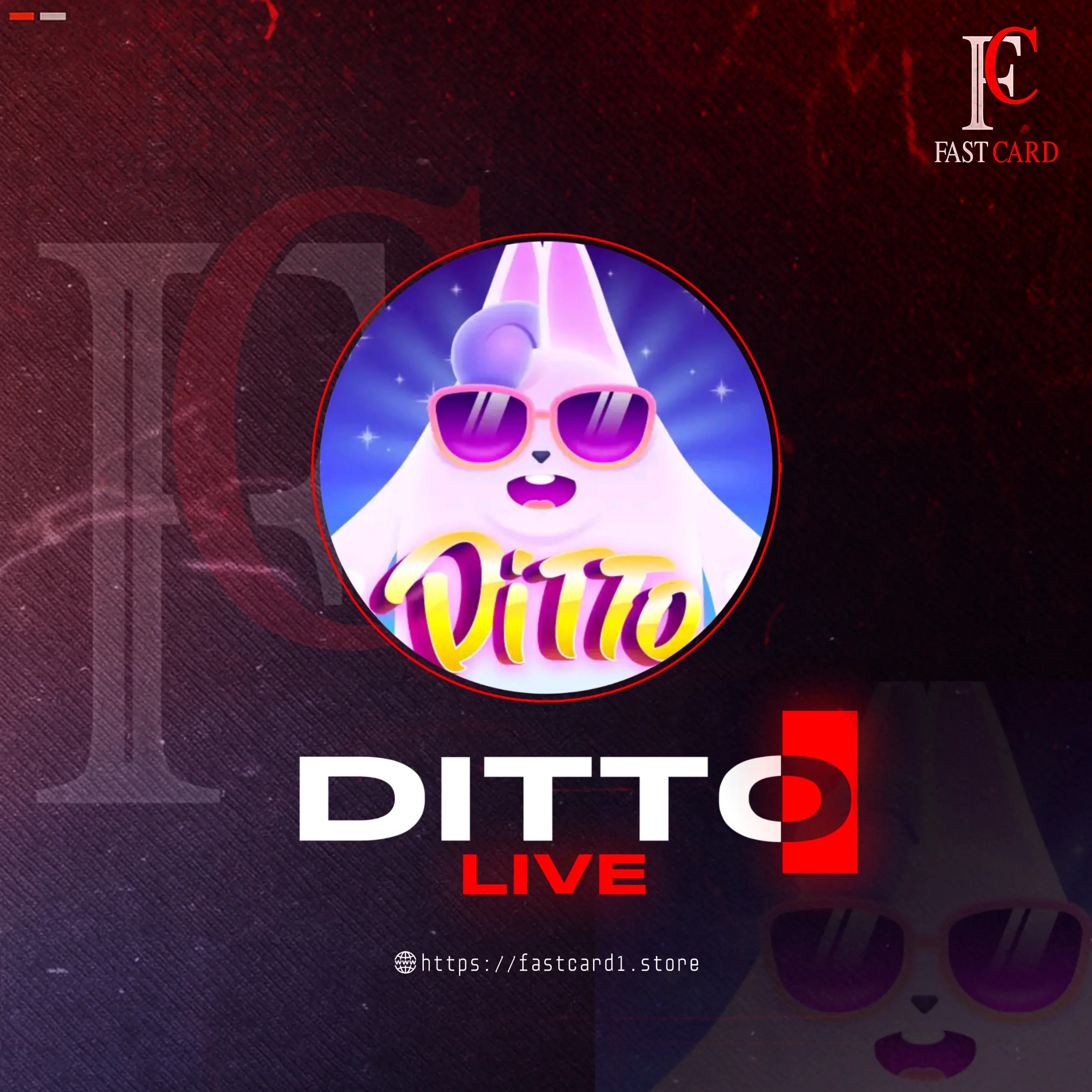 Ditto live
